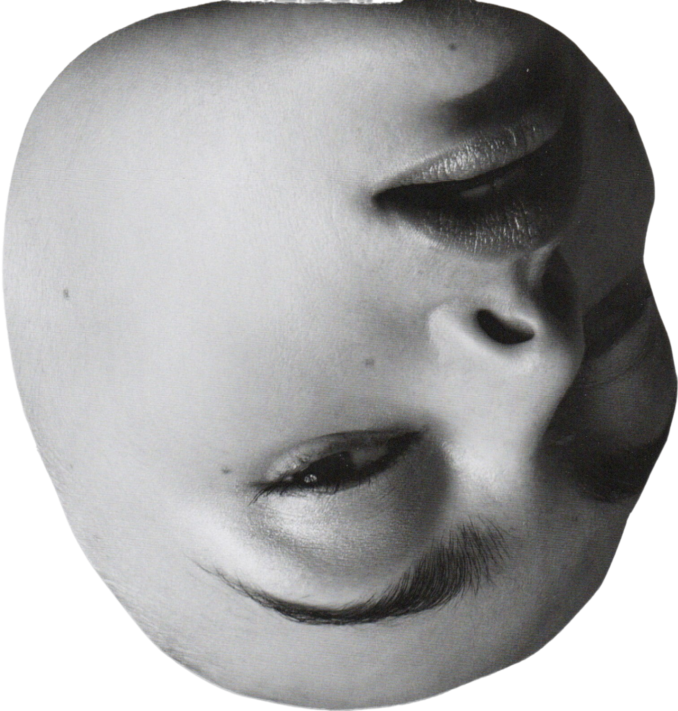 Contour Bw — collage cutout
