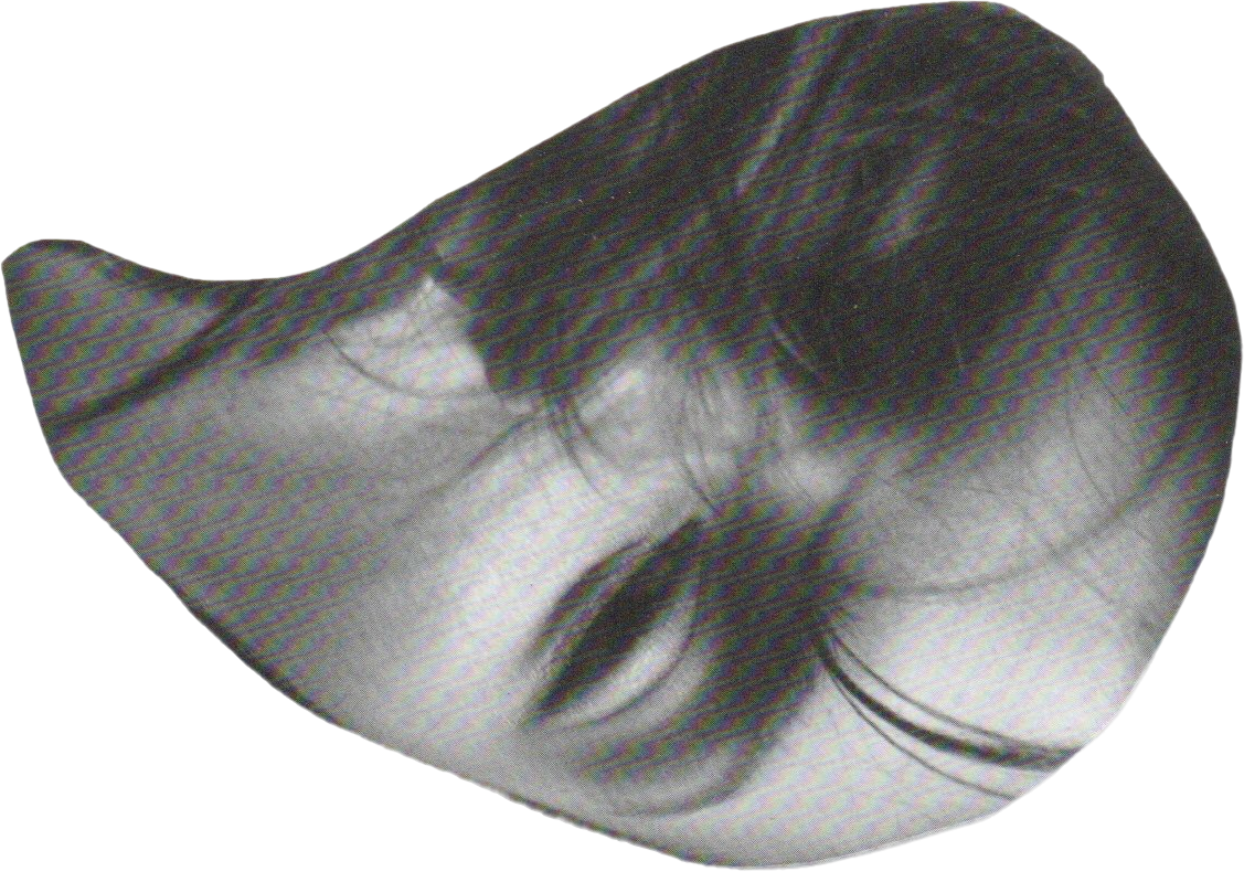 Windy Hair Bw — collage cutout