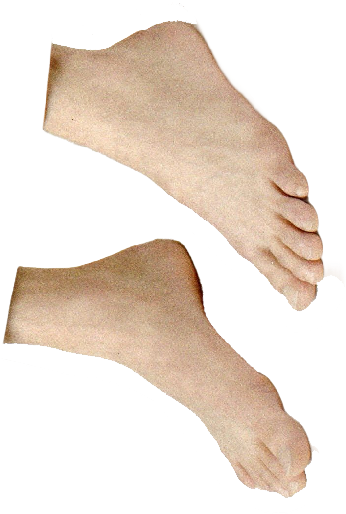 Feet — collage cutout