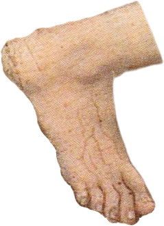 Foot — collage cutout
