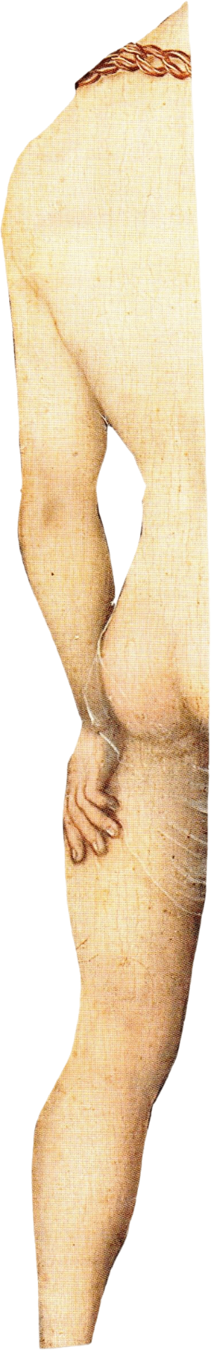 Body Half 1 — collage cutout
