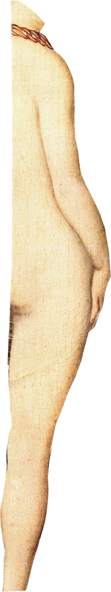 Body Half 2 — collage cutout