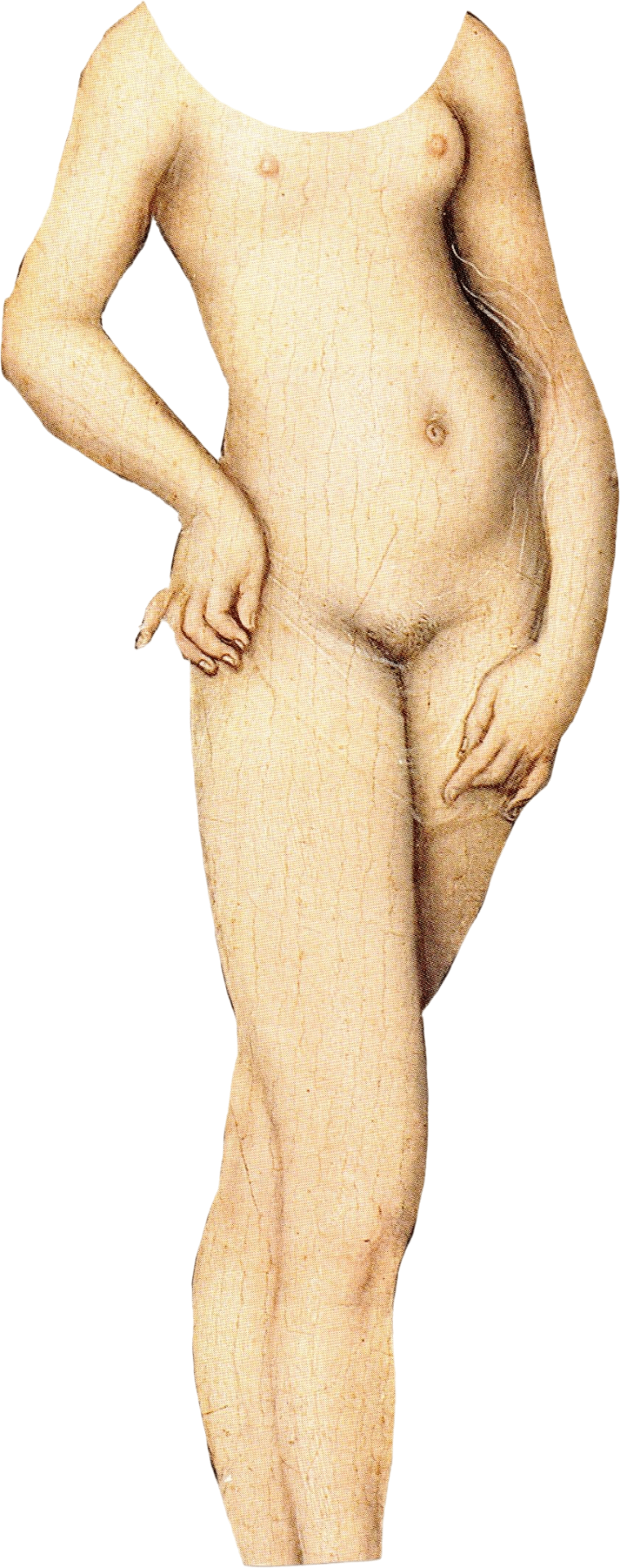 Body Woman — collage cutout