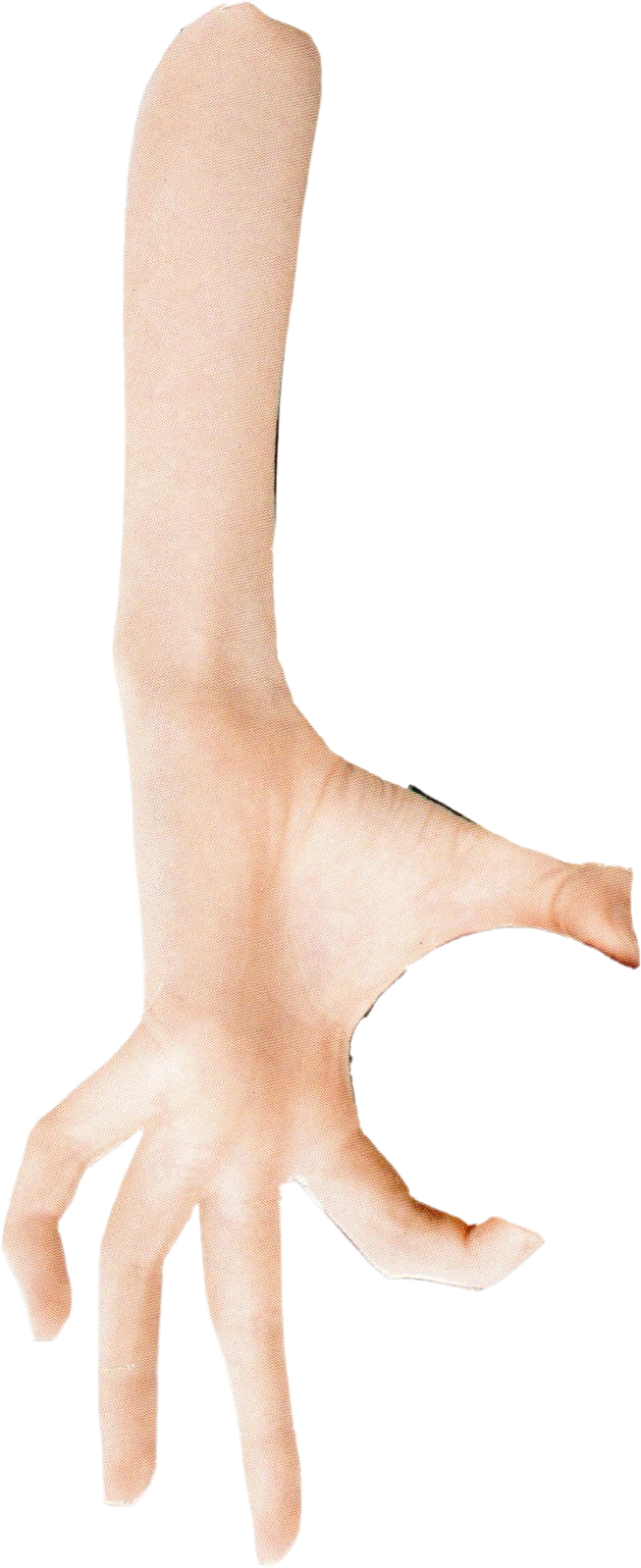 Holding Left — collage cutout