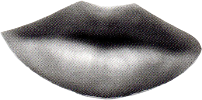 Bw — collage cutout