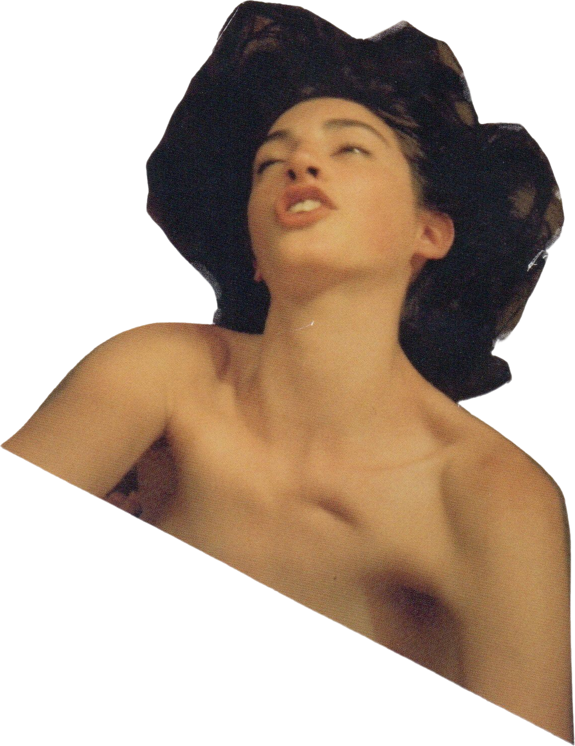 Pleasure — collage cutout